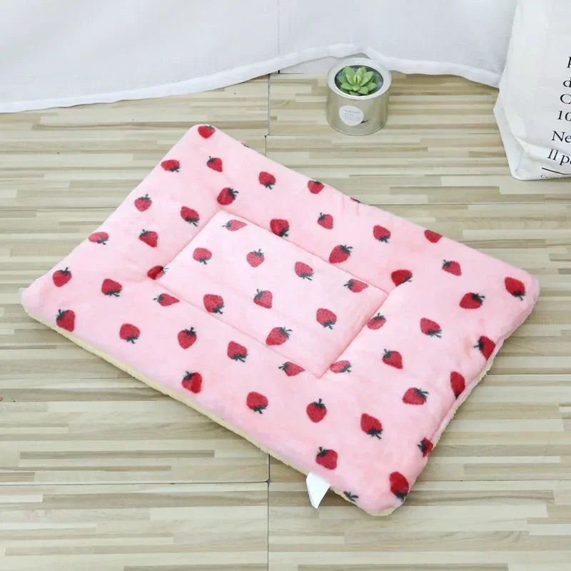 Double-Sided Plush Bed / Cushion