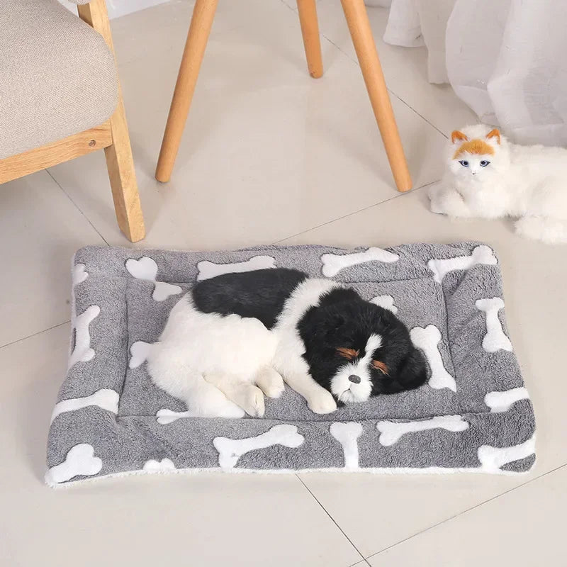 Double-Sided Plush Bed / Cushion