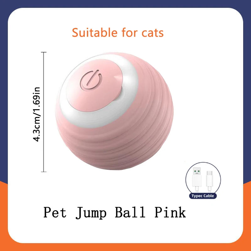 Smart Interactive Pet Ball