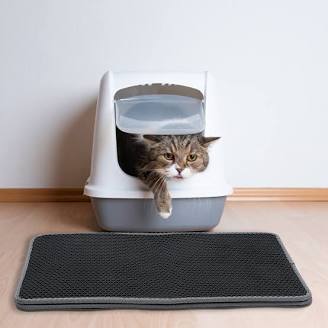 Double-Layer Honeycomb Cat Litter Mat